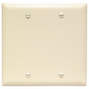 Pass & Seymour TP23-LA Nylon Box Mount Standard Size 2-Gang Blank Wallplate Light Almond TradeMaster